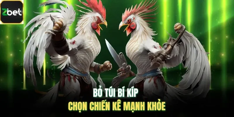 Bỏ túi bí kíp chọn chiến kê mạnh khỏe