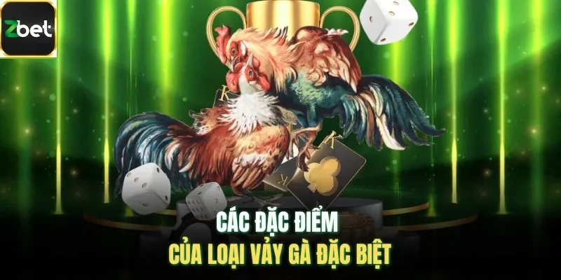 Các đặc điểm của loại vảy gà đặc biệt