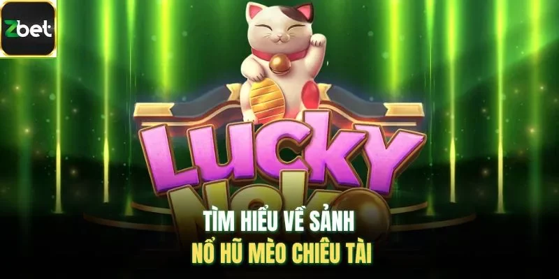 Tìm hiểu về sảnh nổ hũ mèo chiêu tài